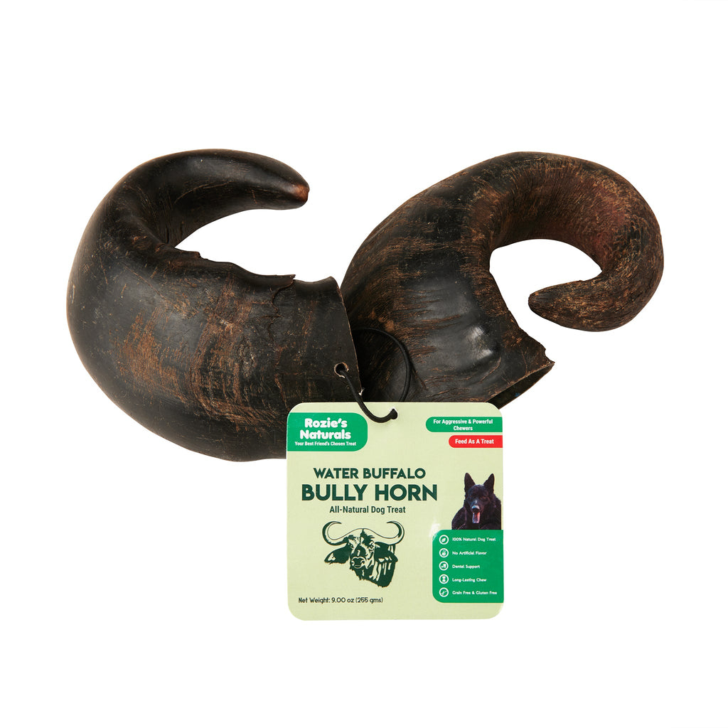 Two natural water buffalo horn dog chews for dental health and long lasting training rewards — view 2