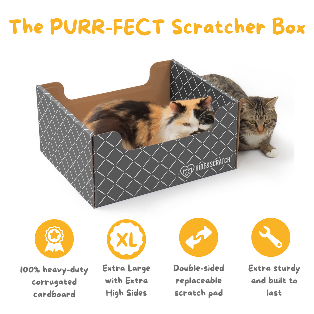 Extra-large corrugated cardboard cat scratcher box with high stylish sides and thick reversible pad — view 3