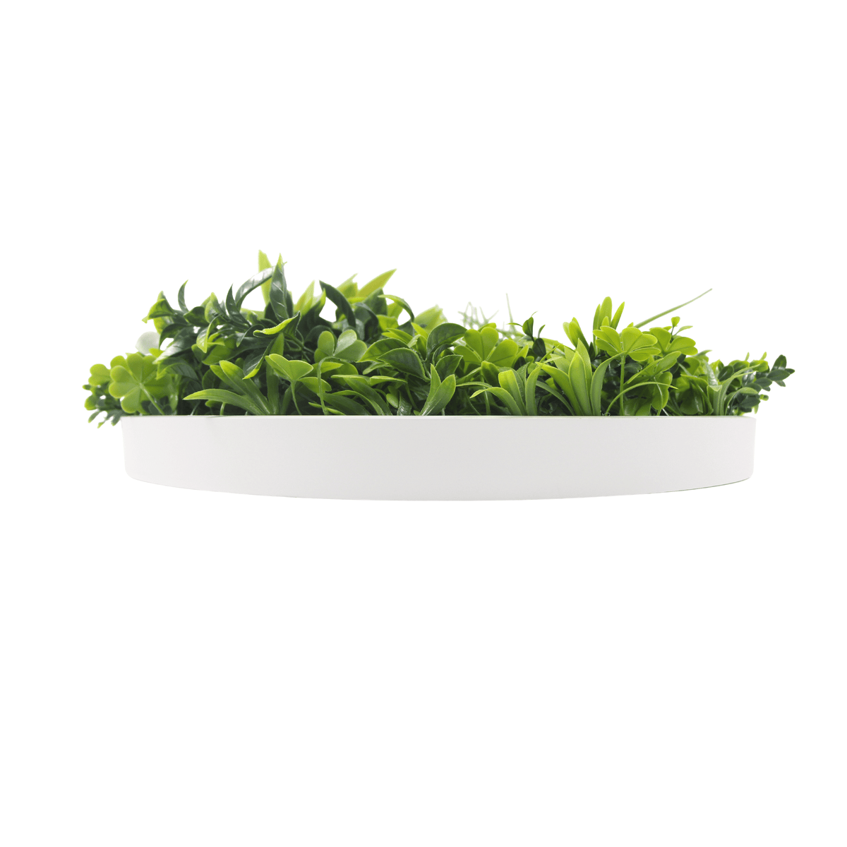 Artificial Green Wall Disc 30in – White Frame – UV Resistant – Commercial Grade-3