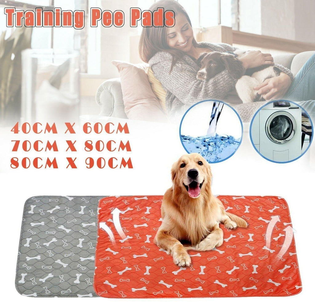 Grey washable pet training pad featuring a soft quilted surface and waterproof anti-slip backing