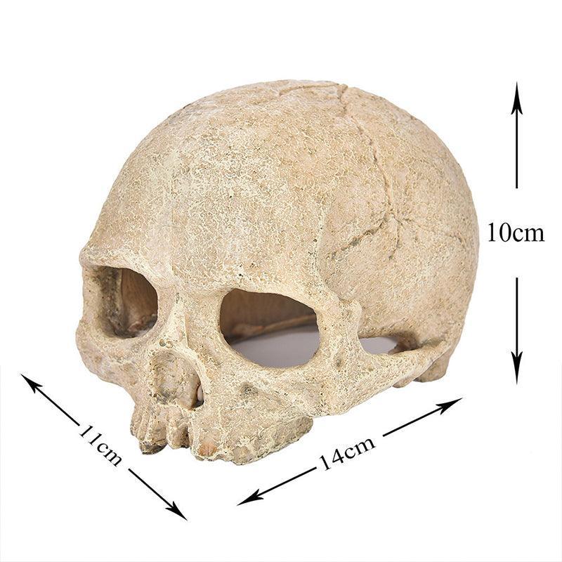 Artificial resin skull head bone aquarium ornament for fish tank and reptile enclosure decoration. — view 3