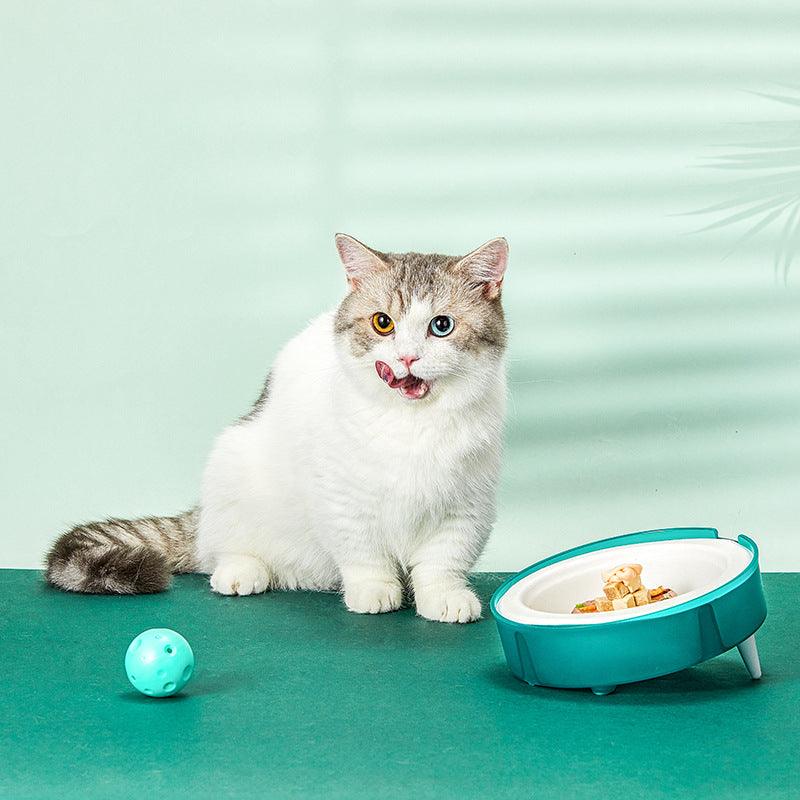 Eco-friendly tilted pet bowl with replaceable bagasse paper inserts in vibrant green and orange.