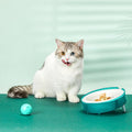 Eco-friendly tilted pet bowl with replaceable bagasse paper inserts in vibrant green and orange.