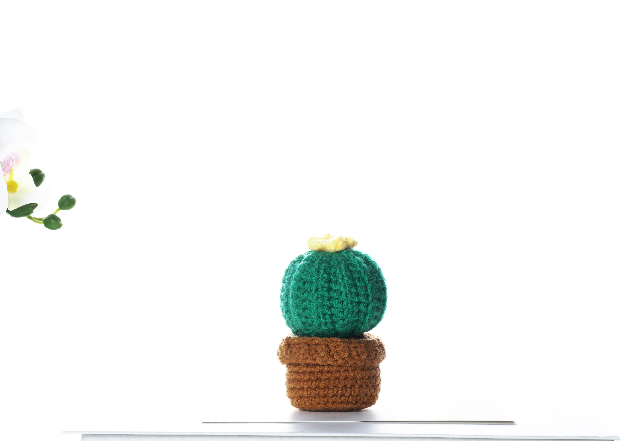 Completed floral cactus amigurumi crochet craft kit with hook, yarn, and crafting materials — view 3