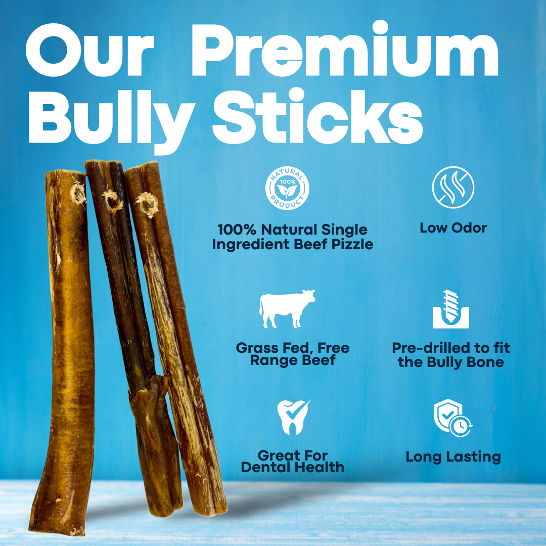 7" Standard Bully Sticks - Bully Bone Included-3