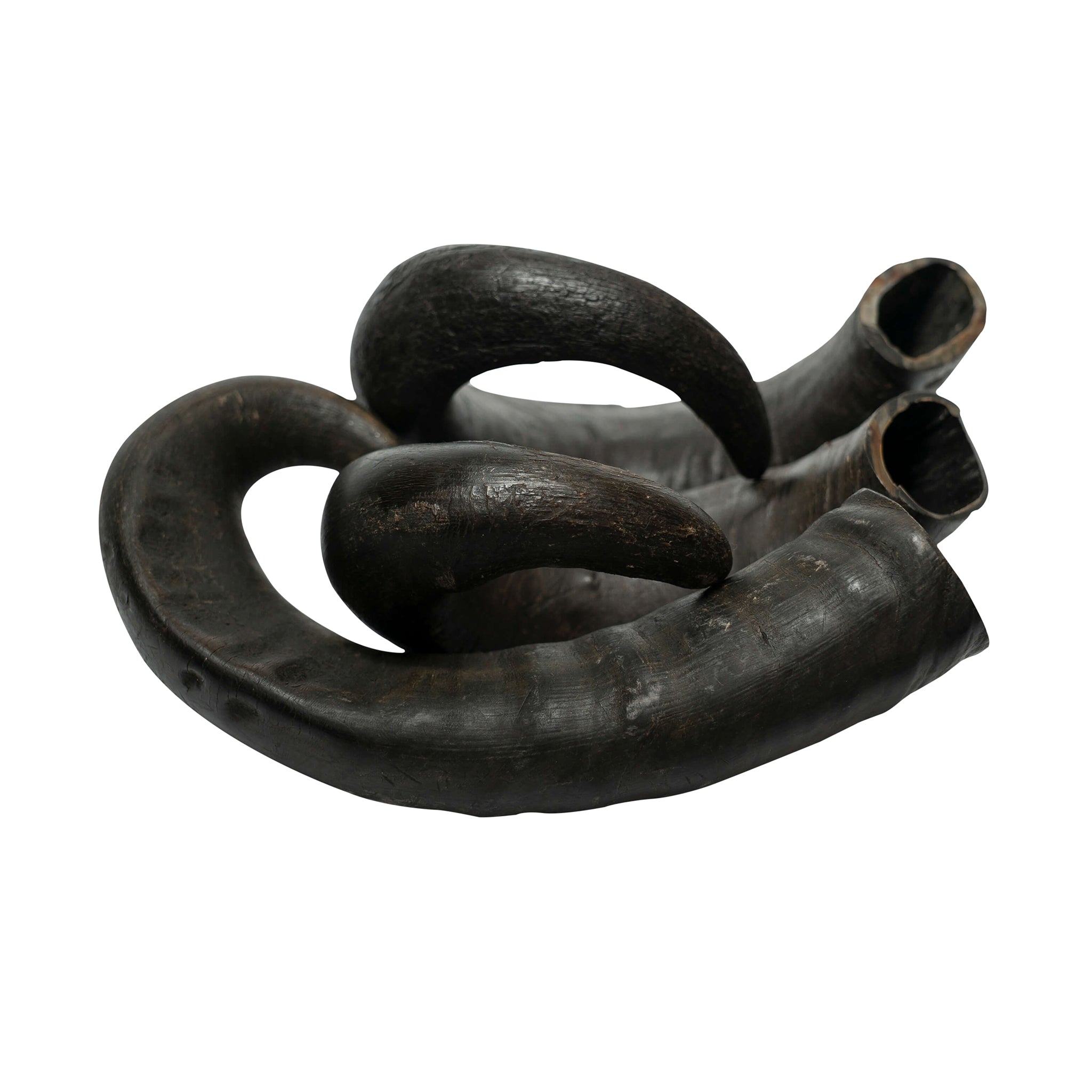 Two natural water buffalo horn dog chews for dental health and long lasting training rewards — view 3