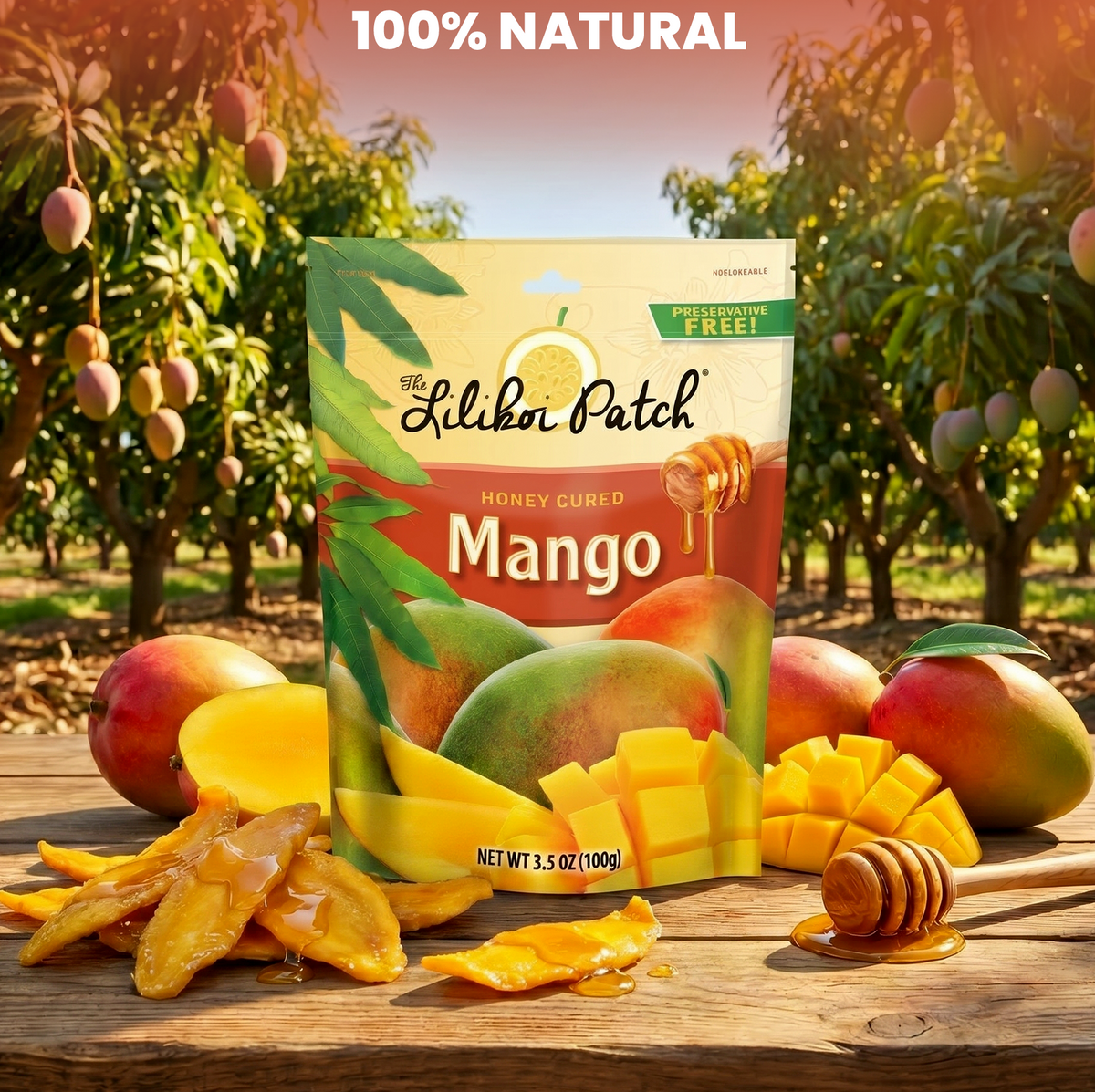 MANGO Honey Cured - Soft Dried No Preservatives 3.5oz-1