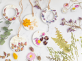 Botanical Wax Sachet – Cozy & Comforting | Warm, Inviting Scents-0