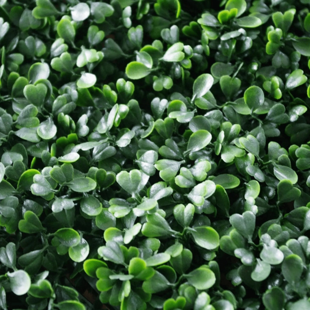 Dark Boxwood Artificial Vertical Garden Green Wall Panel 40×40in 11 SQ FT – UV Resistant – Commercial Grade-4