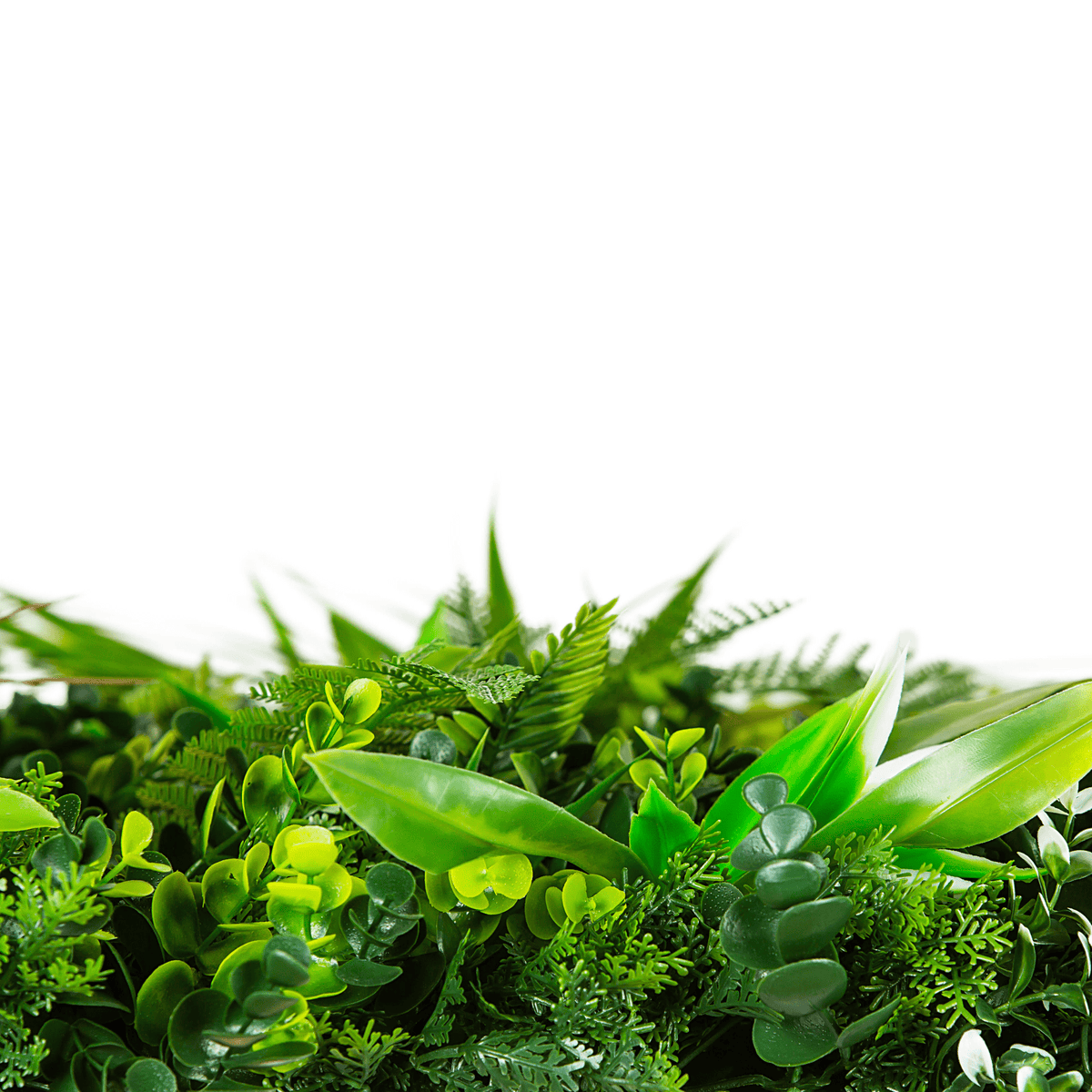 Wild Tropics Artificial Vertical Garden Green Wall Panel 40×40in 11 SQ FT – UV Resistant – Commercial Grade-4