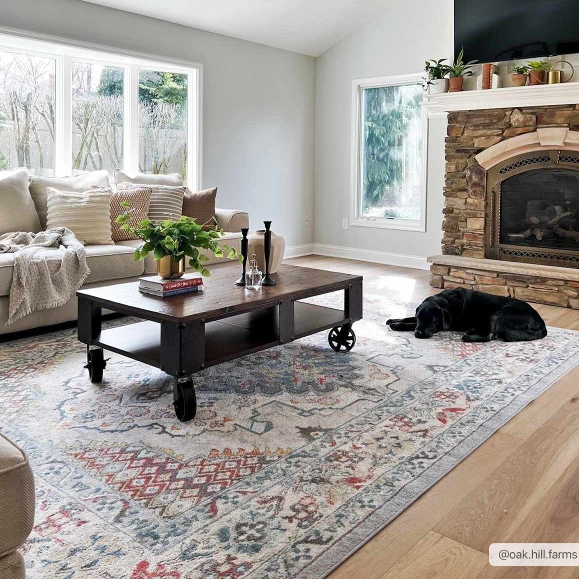 Haymond area rug featuring a traditional multi-color medallion pattern in taupe, blue, and red. — view 2