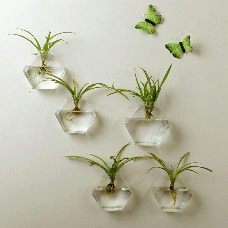 Clear geometric glass hanging fish tank holding water and aquatic plants on a plain background