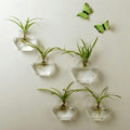 Clear geometric glass hanging fish tank holding water and aquatic plants on a plain background