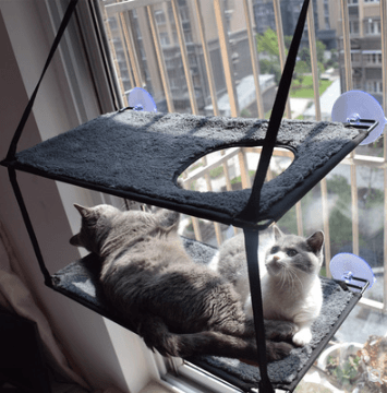 Luxury window cat hammock bed with strong suction cups, washable fabric, and sturdy metal frame — view 4