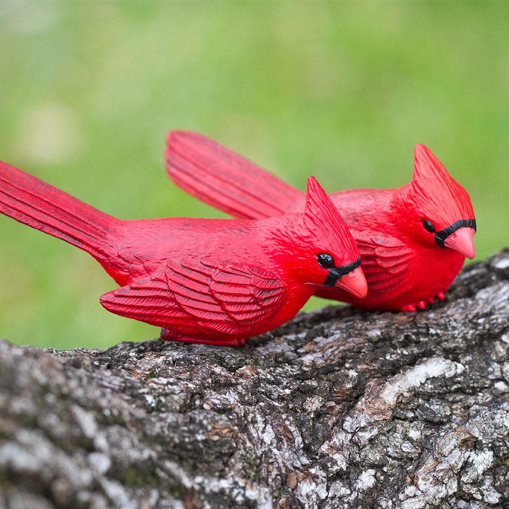 Cardinal Toy-2