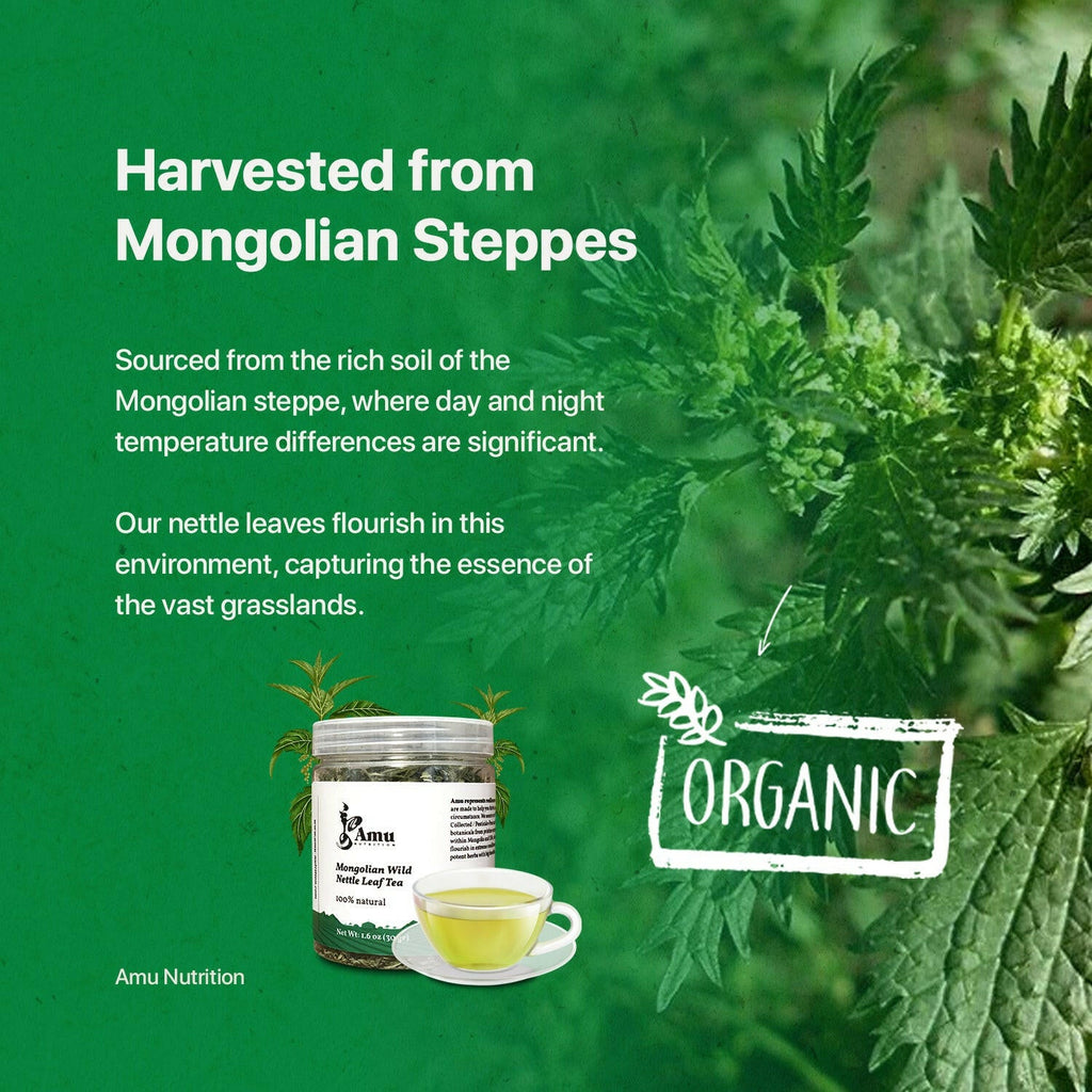 Mongolian Stinging Nettle Leaf Tea Bulk-4