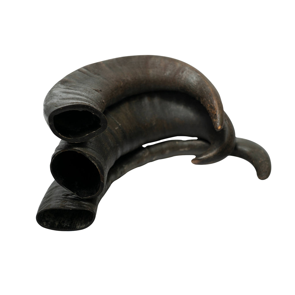 Two natural water buffalo horn dog chews for dental health and long lasting training rewards — view 4
