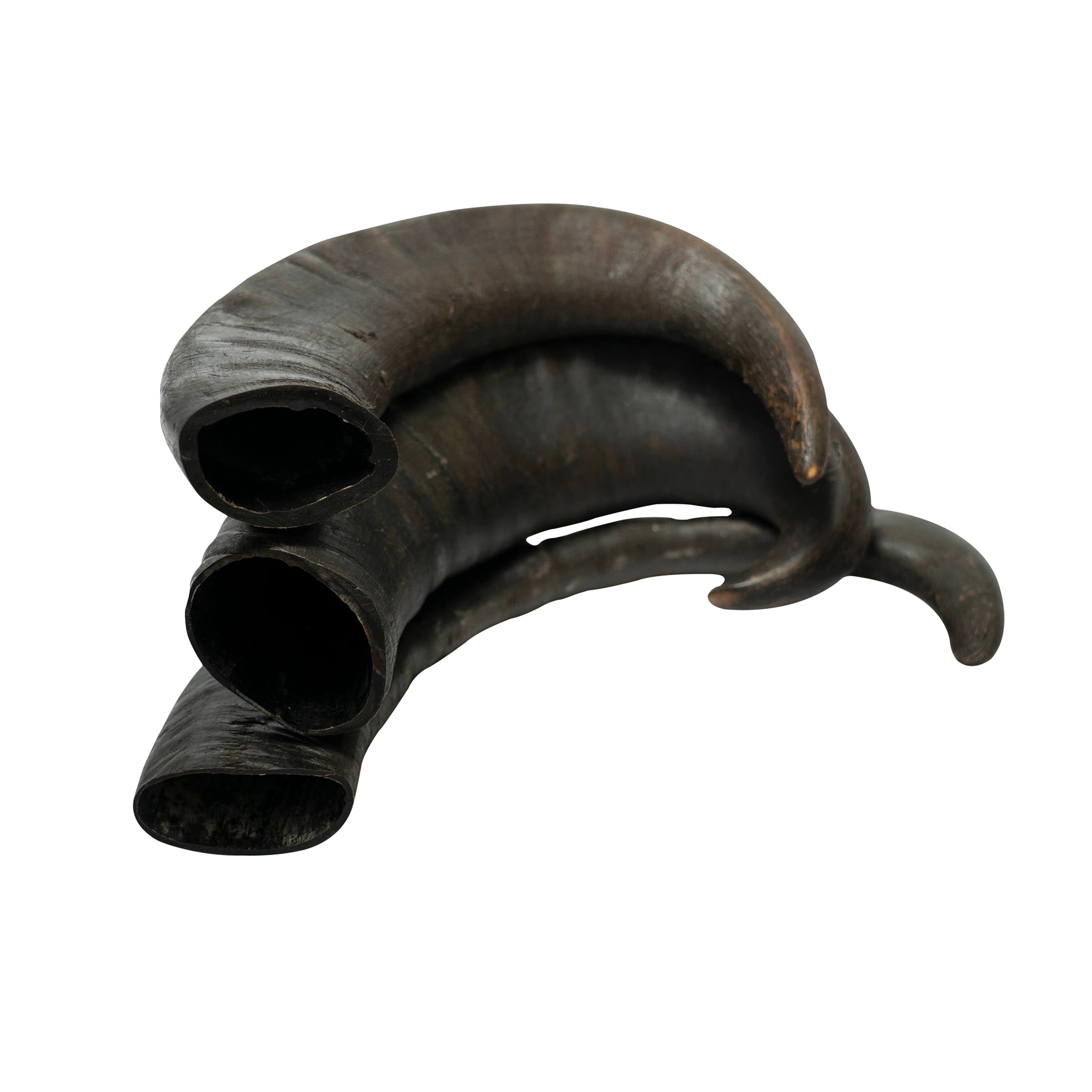 Two natural water buffalo horn dog chews for dental health and long lasting training rewards — view 4
