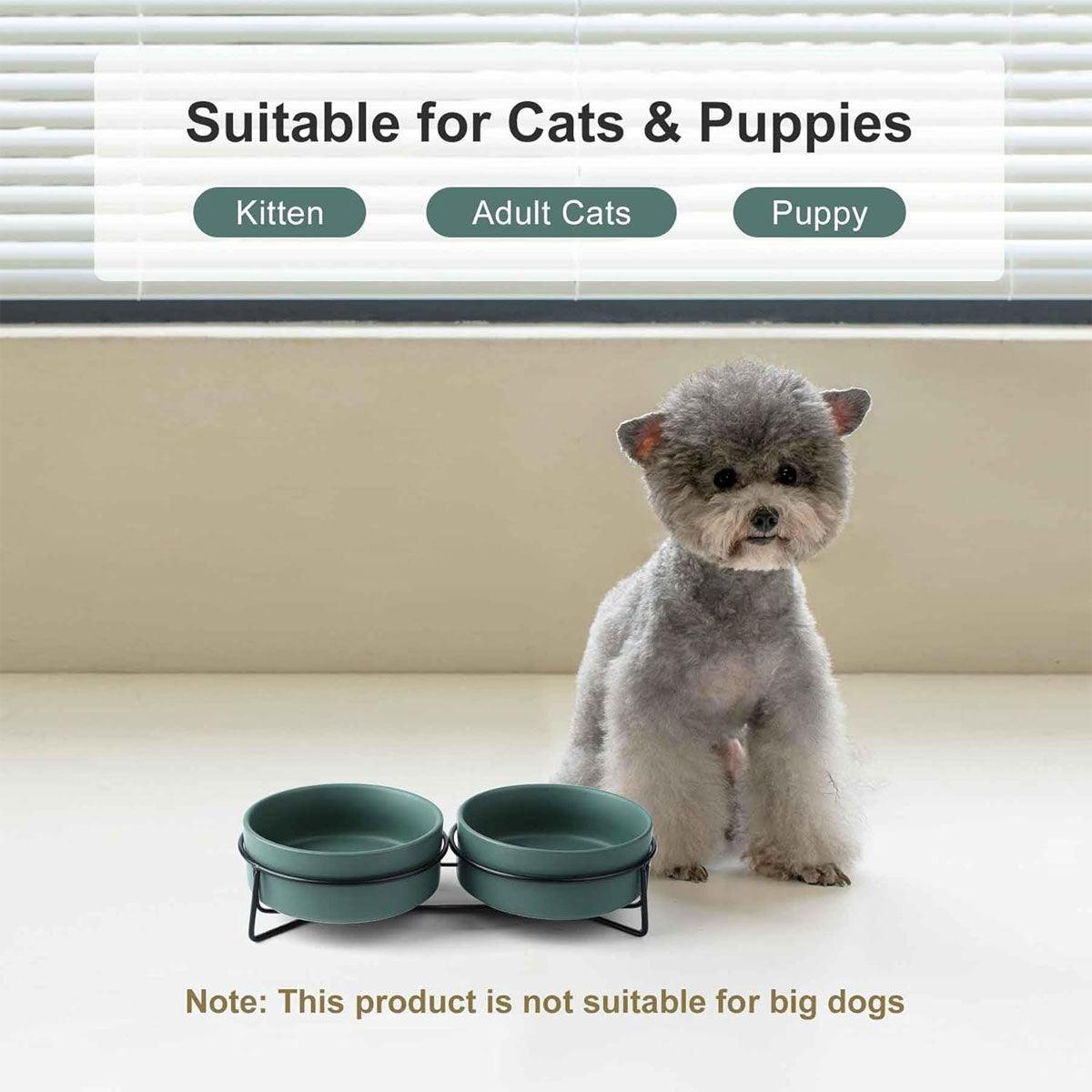 Elevated ceramic pet bowl set with two bowls resting securely on a sturdy metal stand — view 4