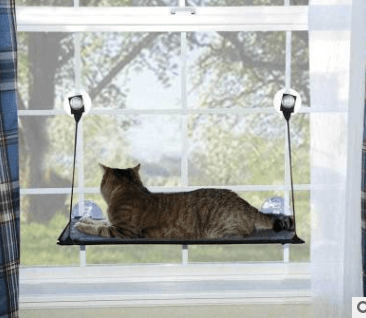 Luxury window cat hammock bed with strong suction cups, washable fabric, and sturdy metal frame