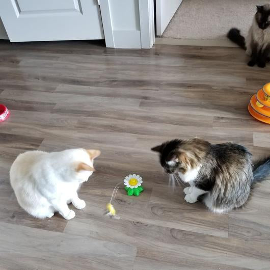 Interactive bird toy for cats featuring lifelike fluttering wings and a durable attachment