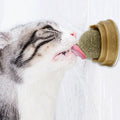 Minty fresh catnip dental treat ball rotating molar teeth cleaning toy for cats
