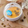 Interactive canine food puzzle ball toy made of durable plastic and soft rubber for small dogs