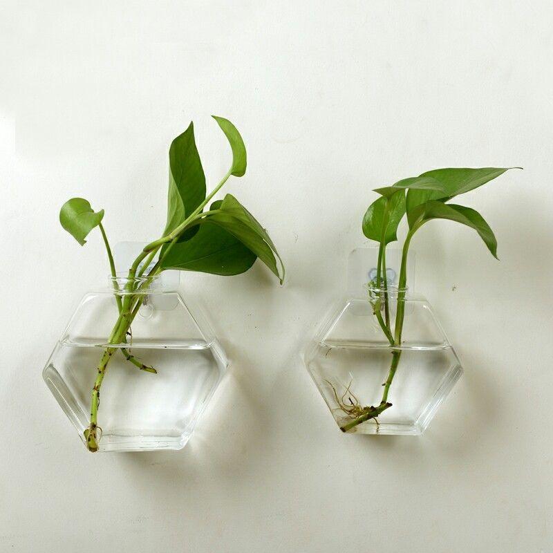 Clear geometric glass hanging fish tank holding water and aquatic plants on a plain background — view 2