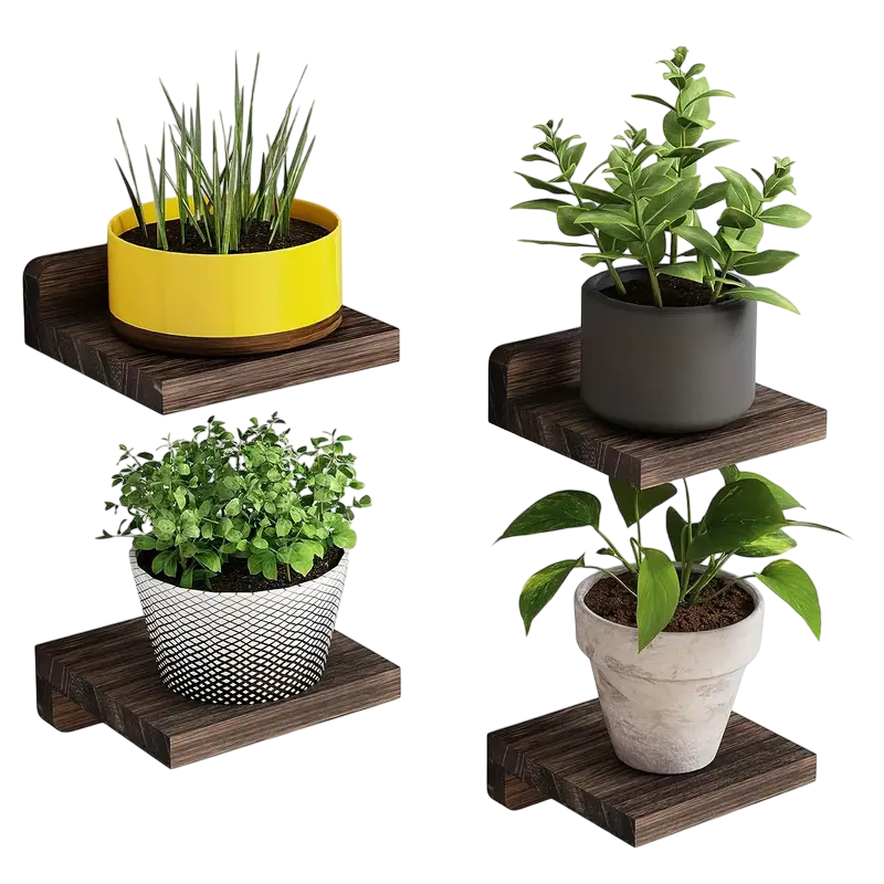 Four piece black wooden floating wall shelves displaying small potted plants and books