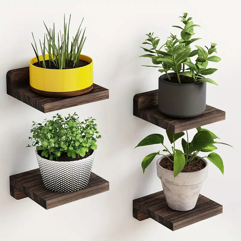 Four piece black wooden floating wall shelves displaying small potted plants and books — view 2