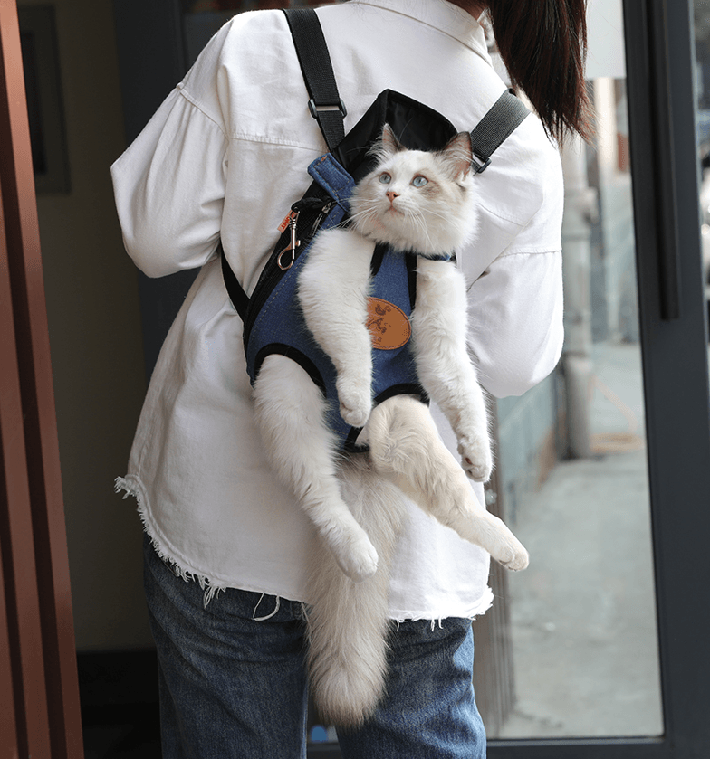 Spring adventure cat carrier in durable canvas with cute cartoon pattern and comfortable leg openings — view 2