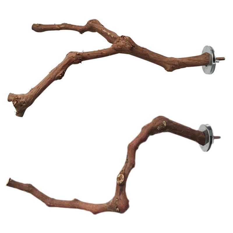 Natural vine parrot perch made of authentic grape wood installed inside a wire bird cage