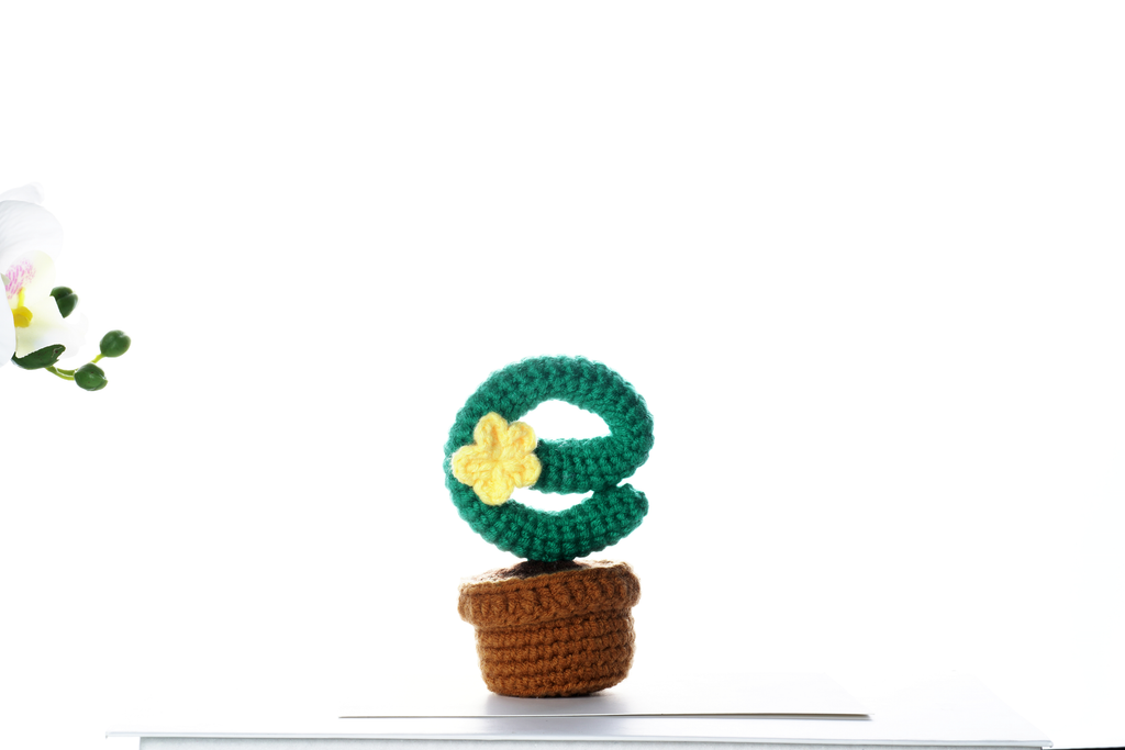 Completed floral cactus amigurumi crochet craft kit with hook, yarn, and crafting materials — view 5