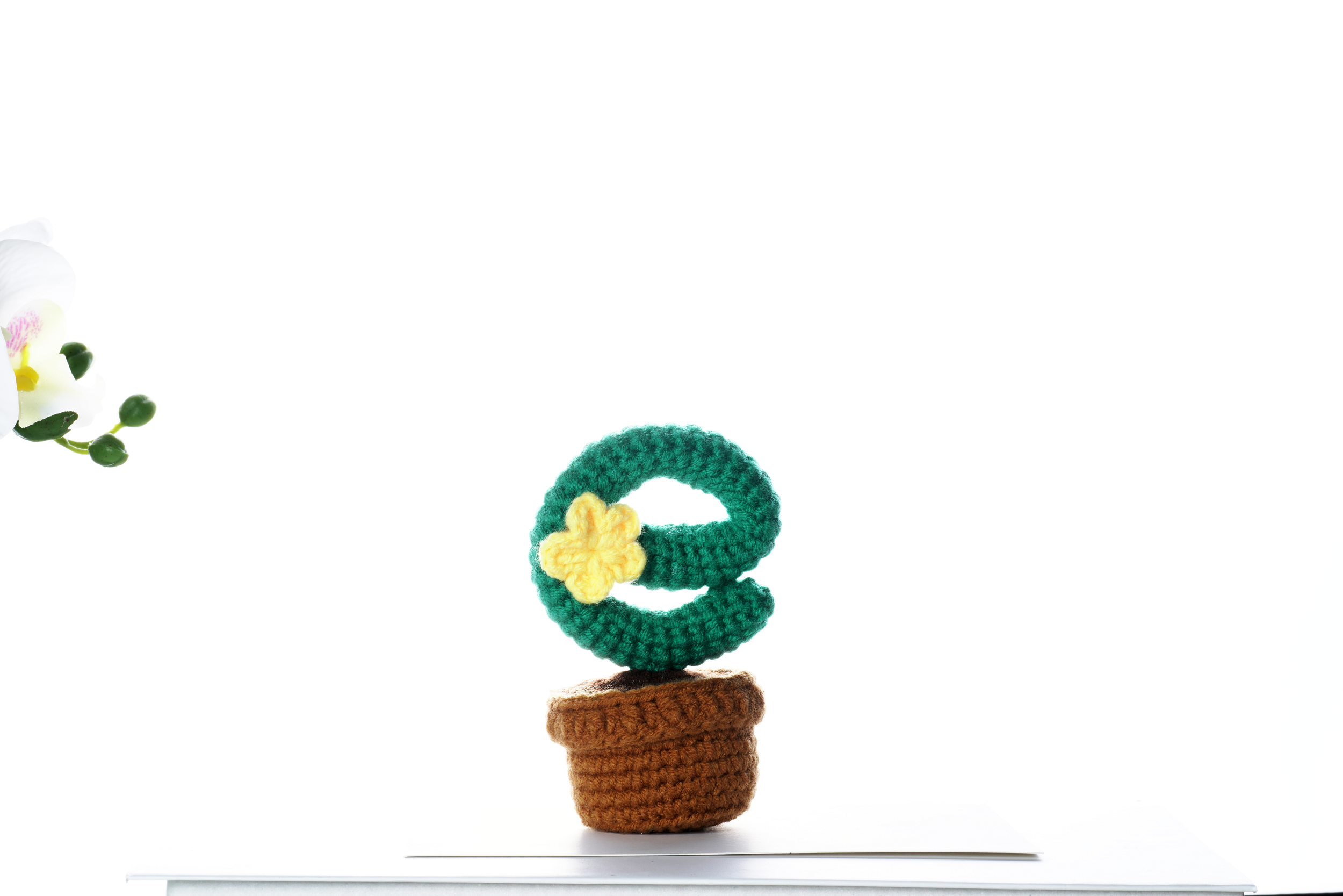 Completed floral cactus amigurumi crochet craft kit with hook, yarn, and crafting materials — view 5