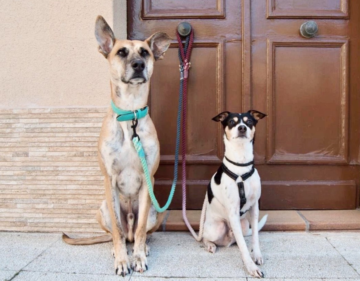 ROPE LEASH - CLAIR-1