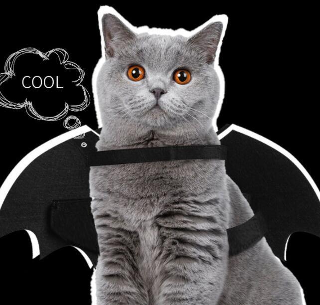 Black felt luminous bat wings dog costume glowing in the dark for Halloween pet apparel — view 5