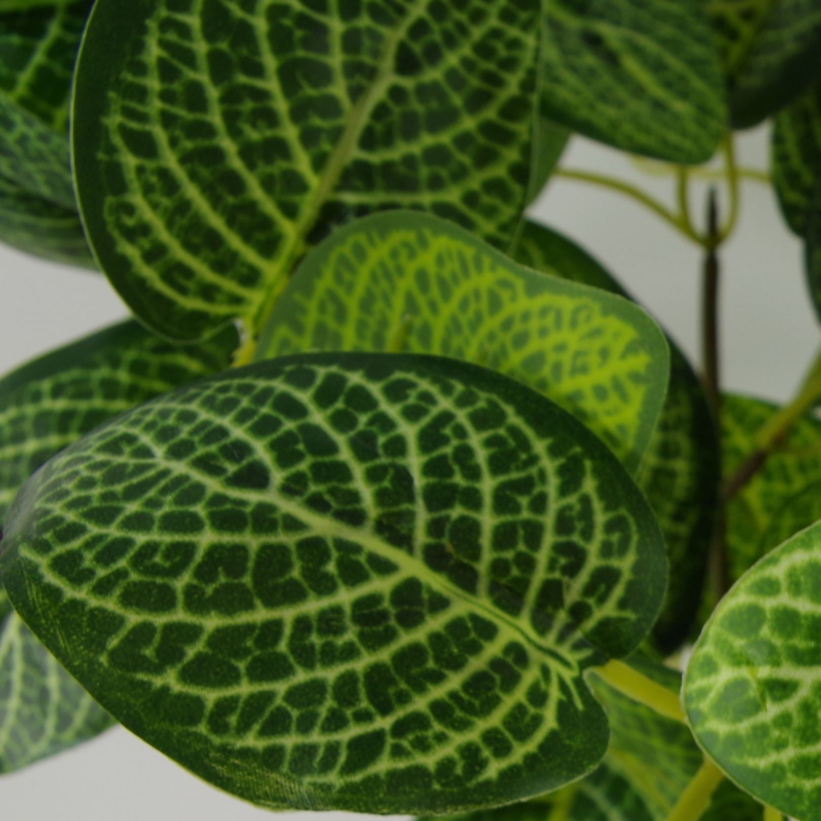 Large artificial variegated pothos plant with realistic green leaves in a weighted black plastic pot — view 3