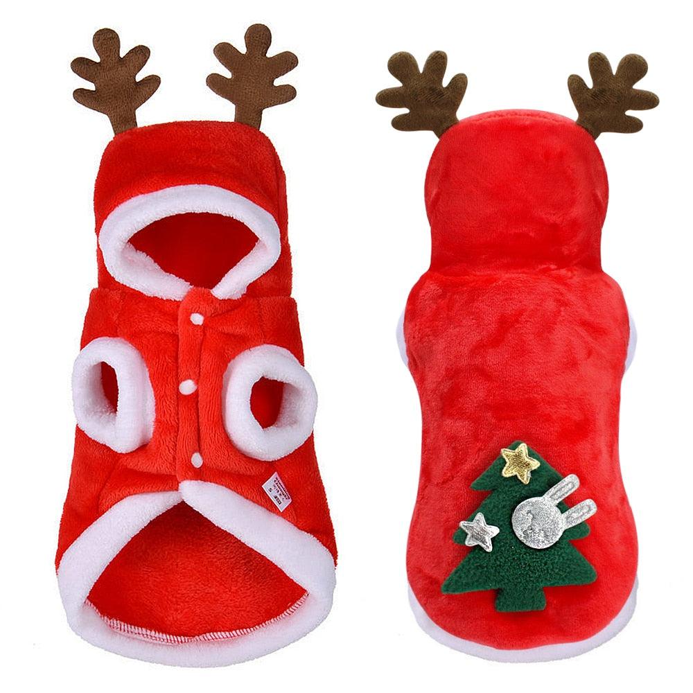 Small dog wearing a festive red and white flannel Santa Claus Christmas costume outfit — view 2