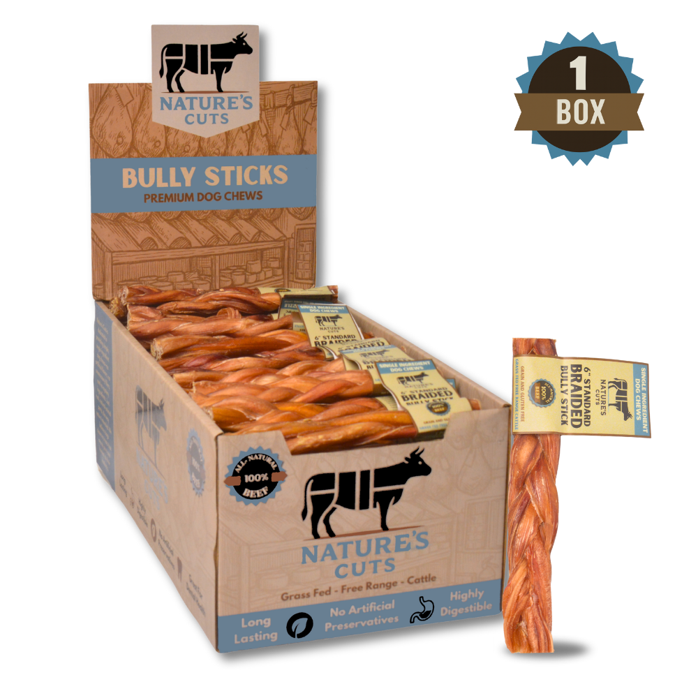 6" Standard Braided Bully Sticks Display Box-5