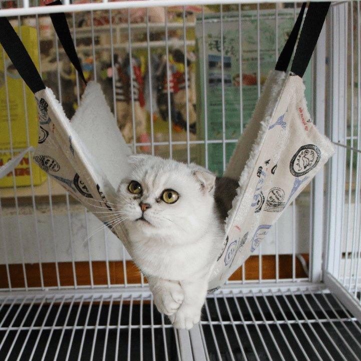 Cozy chill cat hammock hanging bed made of breathable mesh and colorful cooling fabric