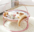 Pets bed for both winter and summer-0