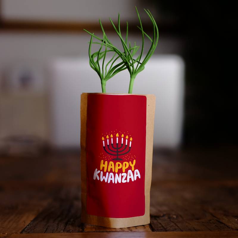 Happy Kwanzaa candles design tree growing kit in a compact eco-friendly planter pot