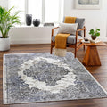 ROY's Home One Level Area Rugs, Classic Pattern - Shiny Ivory,Grey,Beige Yarn-0