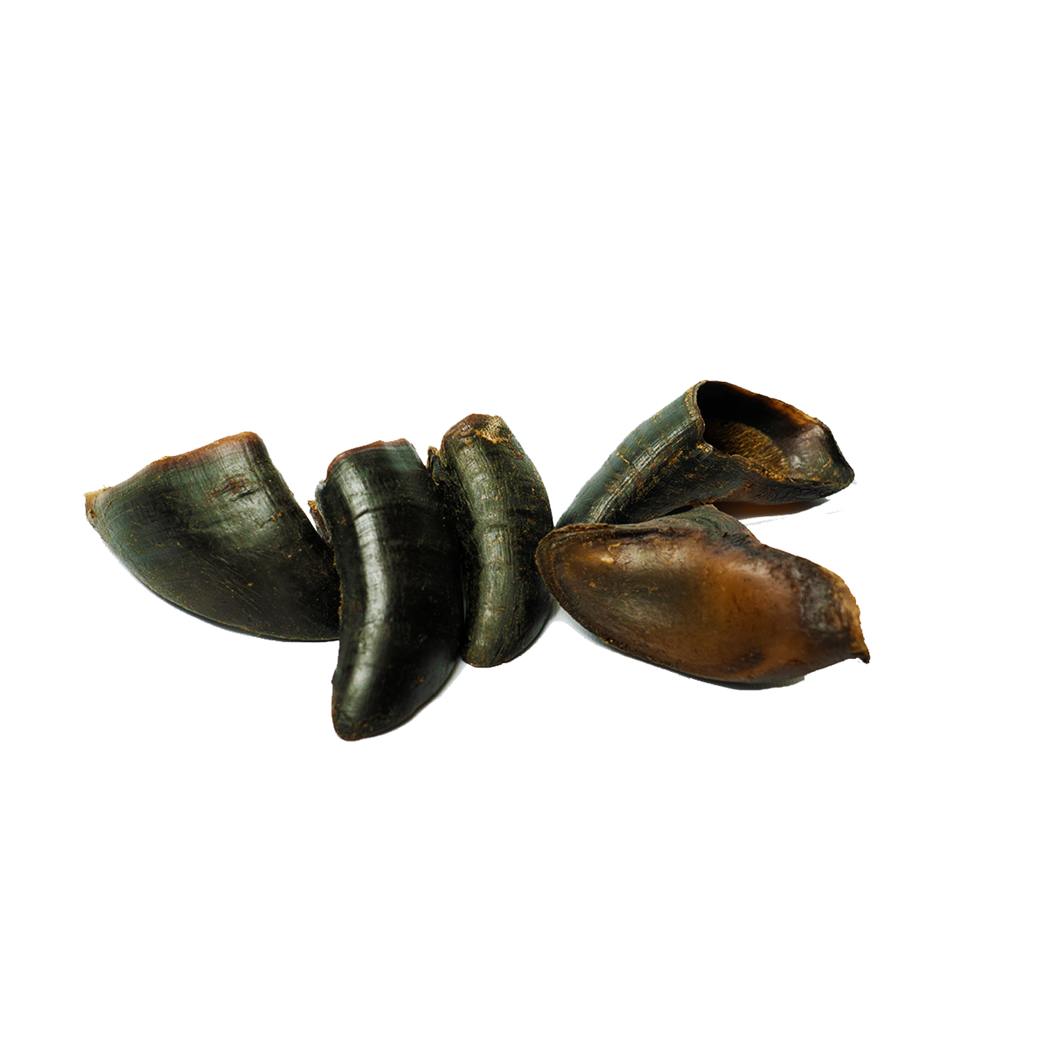 Four natural dark brown water buffalo hooves dog chews arranged together in a clear package — view 2