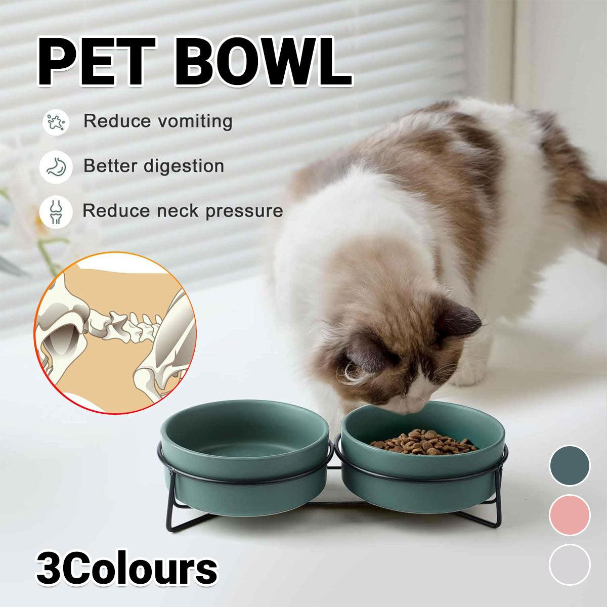 Elevated ceramic pet bowl set with two bowls resting securely on a sturdy metal stand