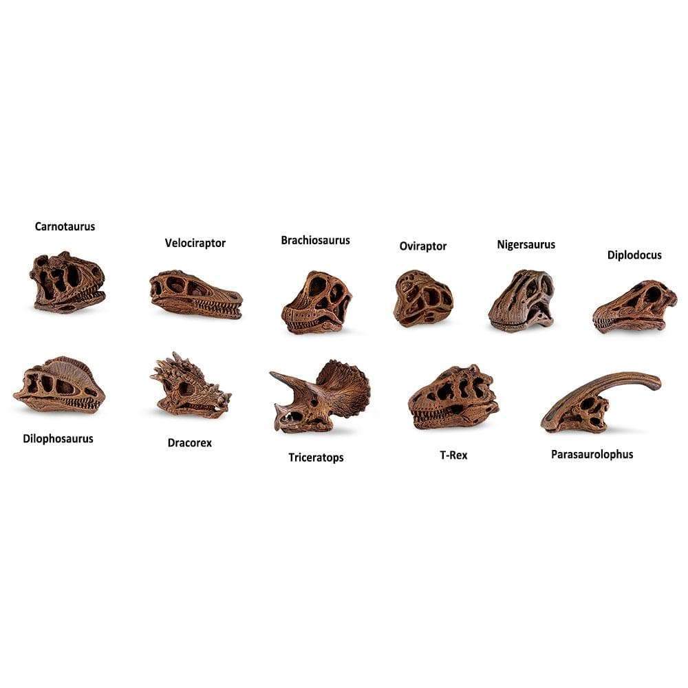 Dinosaur Skull Toy TOOB®-3