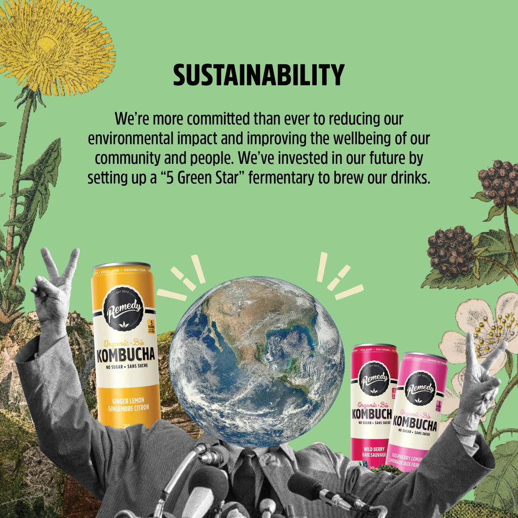Remedy Mango Passion kombucha pack of twenty four vibrant yellow and orange printed aluminum beverage cans — view 3