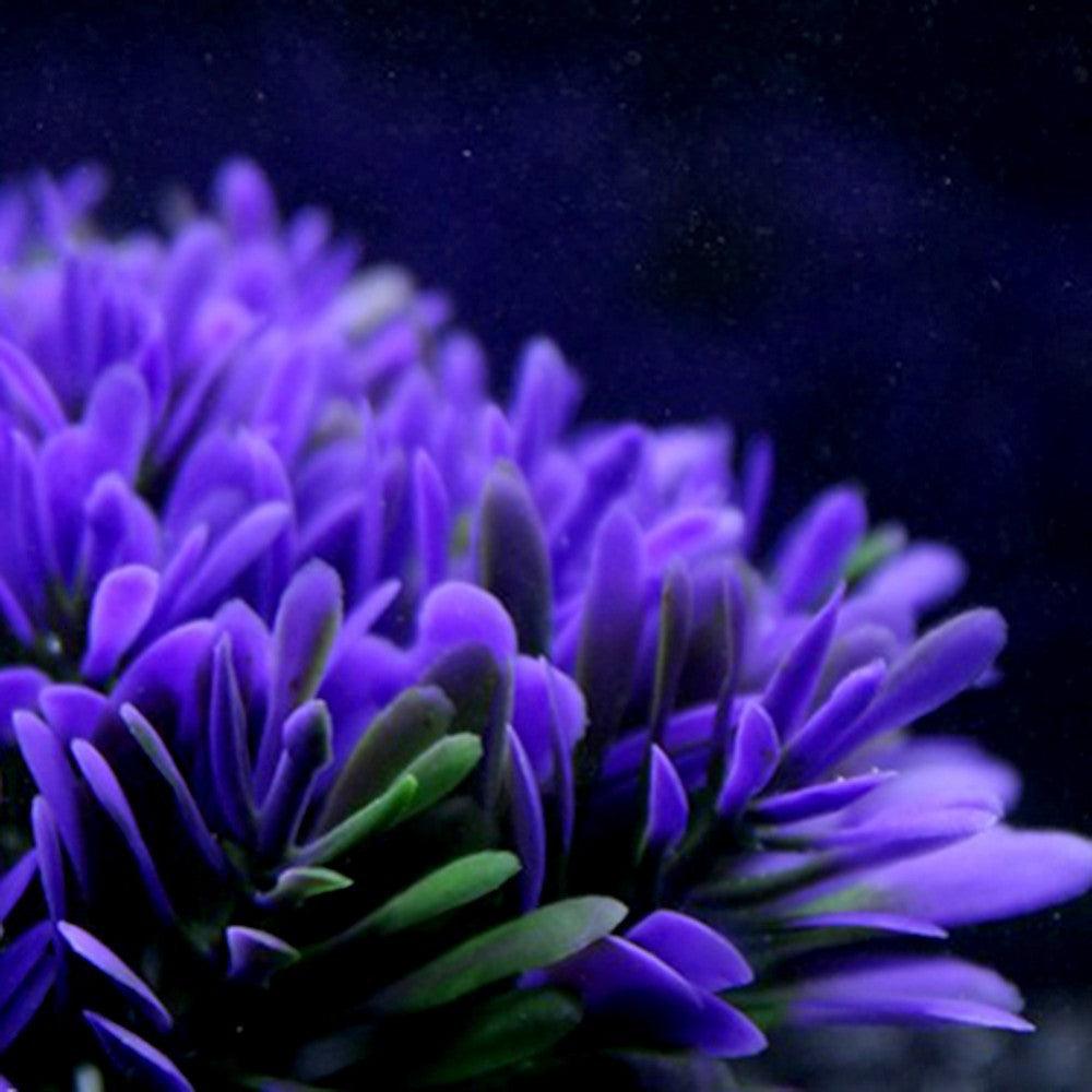 Vibrant purple round grass aquarium decor made of lifelike plastic with a sturdy plaster base. — view 3