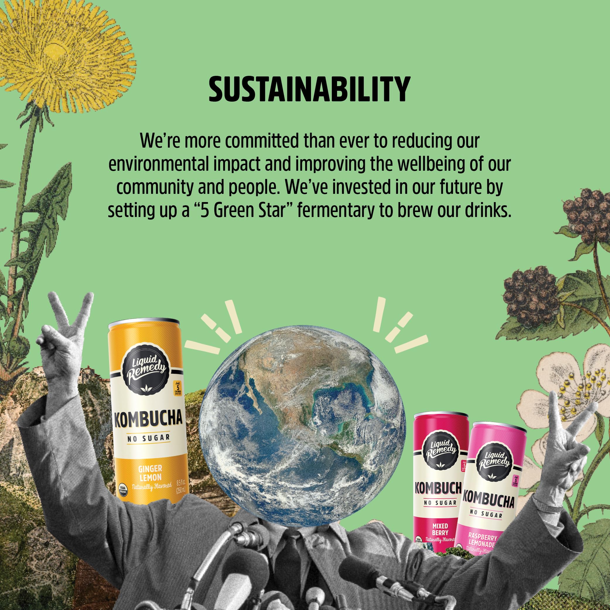 Remedy black cherry kombucha in 355ml cans featuring a crisp and sugar-free beverage profile — view 3