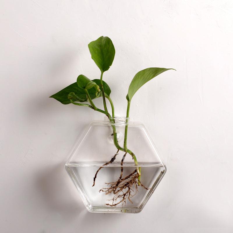 Clear geometric glass hanging fish tank holding water and aquatic plants on a plain background — view 3